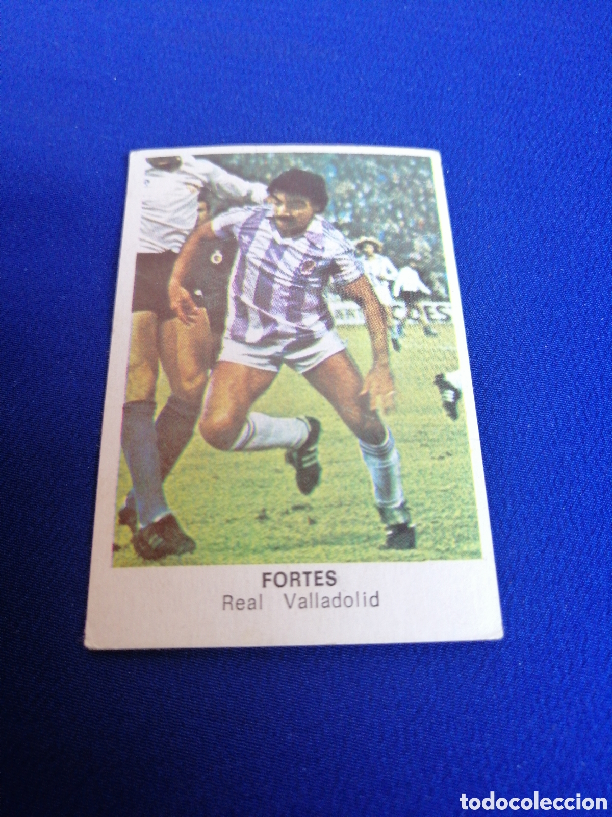 Football Stickers: F&Uacute;TBOL 84 - FORTES