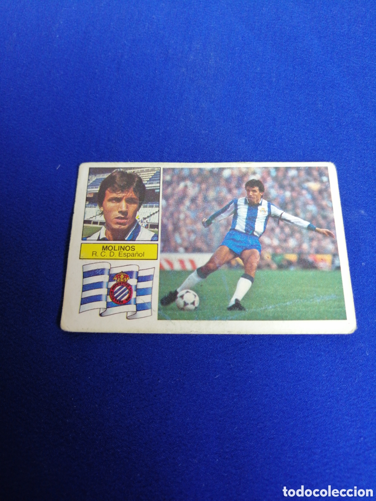 Cromos de F&uacute;tbol: LIGA 82-83 -MOLINOS.