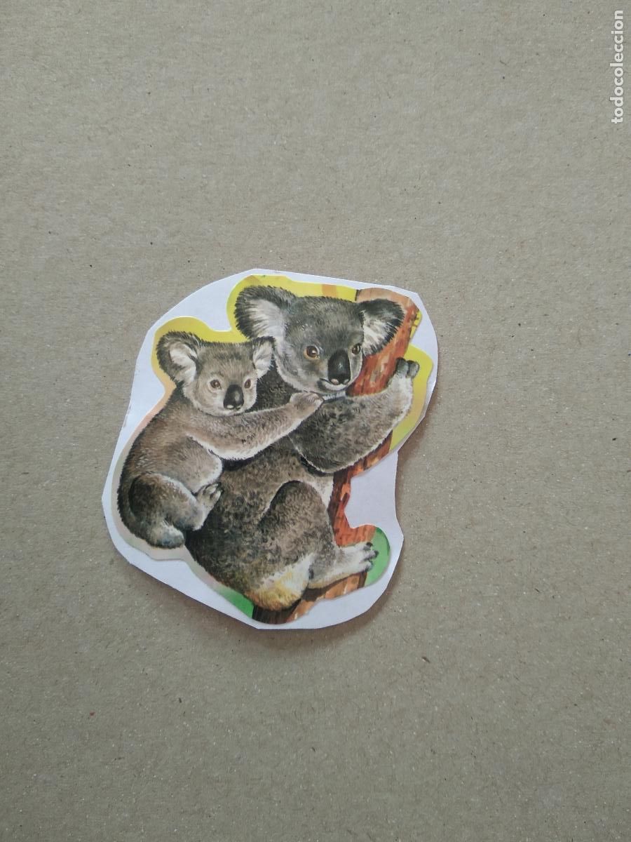 Cartes &agrave; collectionner de Football: 10 CROMO BOLLYCAO FAUNA EN PELIGRO