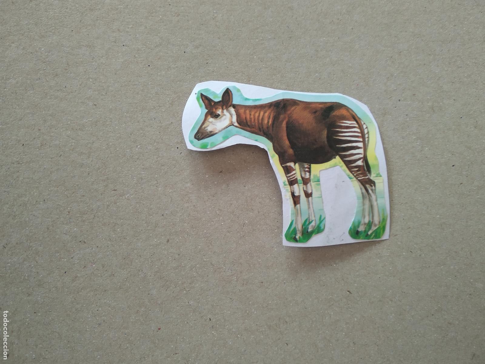 Cartes &agrave; collectionner de Football: 21 CROMO BOLLYCAO FAUNA EN PELIGRO
