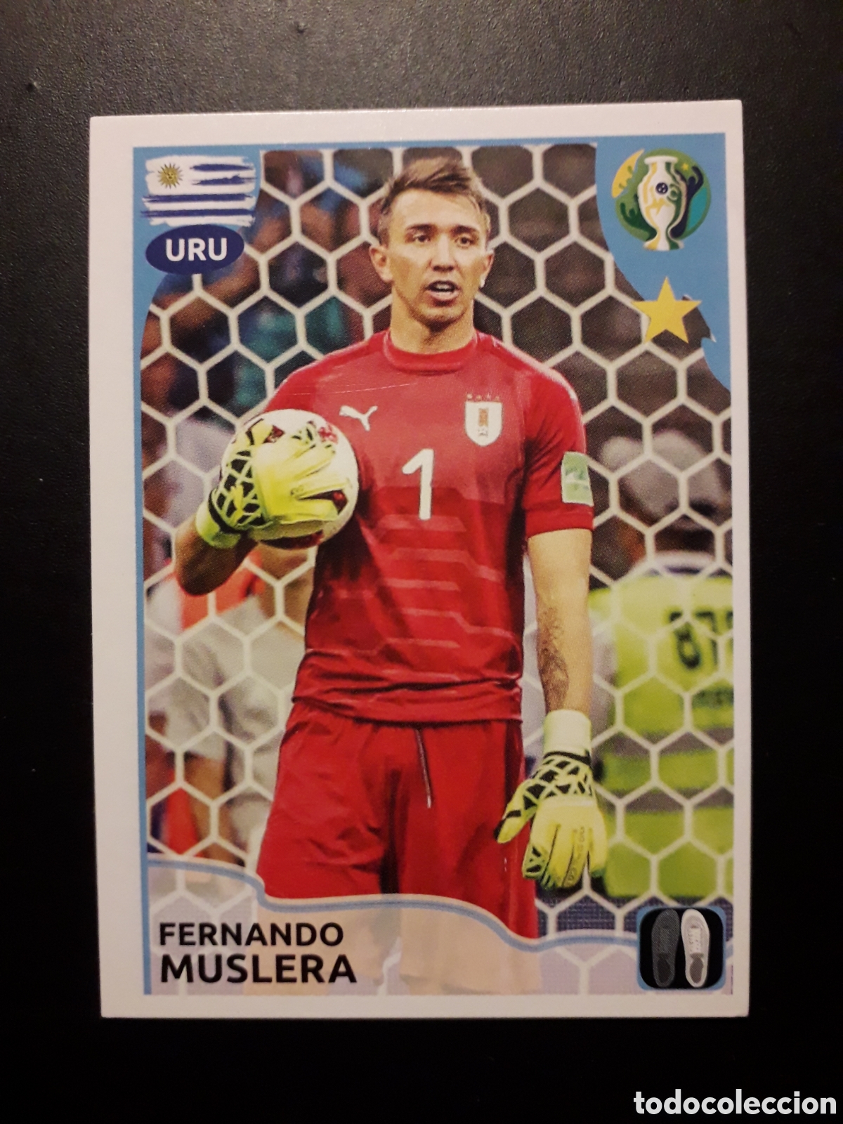 Cromos de Futebol: MUSLERA URUGUAY N&deg; 328 PANINI, COPA AM&Eacute;RICA BRASIL 2019 CONMEBOL PEDIDO M&Iacute;NIMO 3&euro;