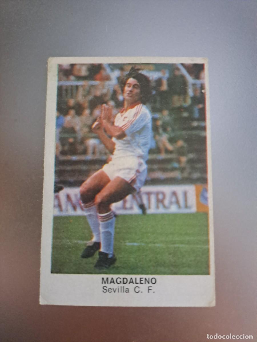 Cromos de F&uacute;tbol: CROMO MAGDALENO SEVILLA FUTBOL 84 CROPAN LIGA 83 84 1983 1984 CROMOS CANO RECUPERADO