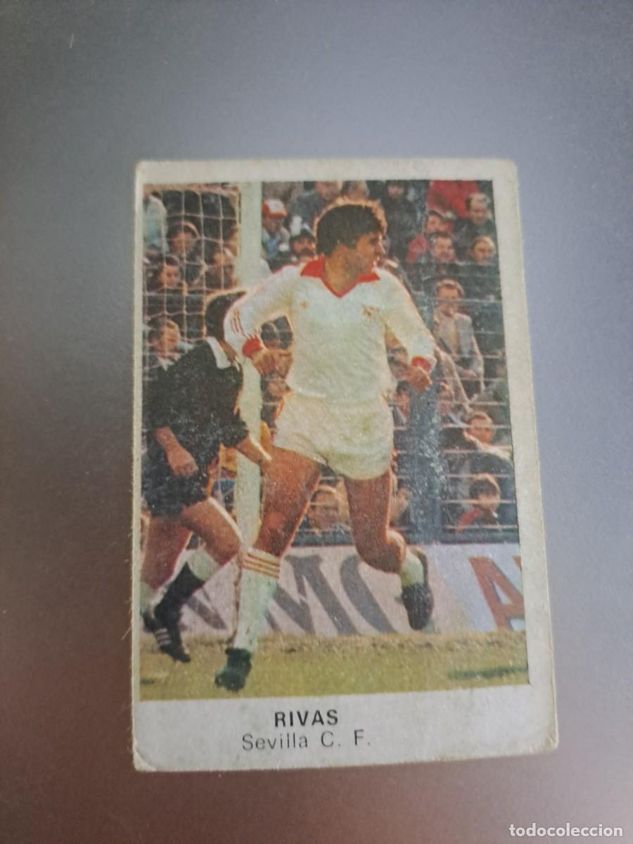 Figurine di Calcio: CROMO RIVAS SEVILLA FUTBOL 84 CROPAN LIGA 83 84 1983 1984 CROMOS CANO RECUPERADO