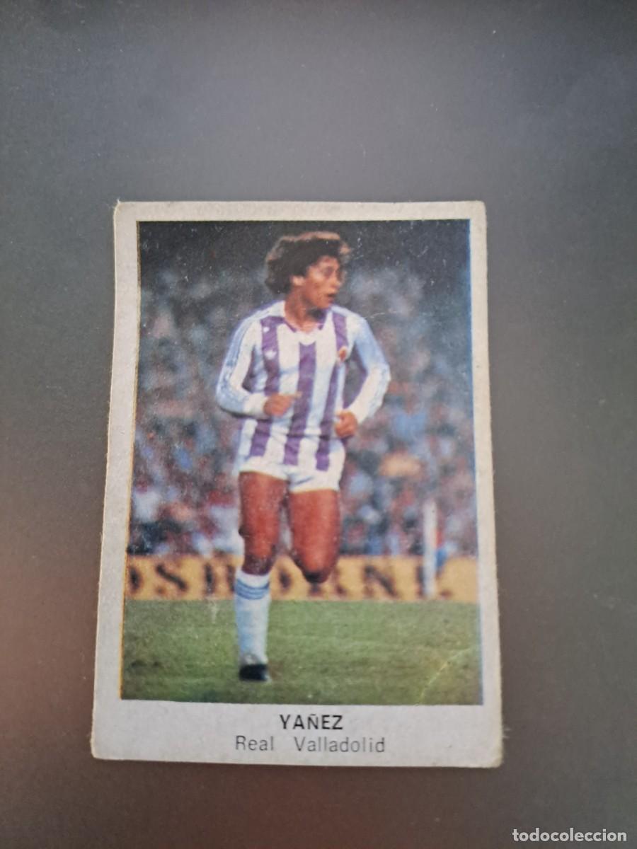 Cromos de F&uacute;tbol: CROMO YA&Ntilde;EZ VALLADOLID FUTBOL 84 CROPAN LIGA 83 84 1983 1984 CROMOS CANO RECUPERADO