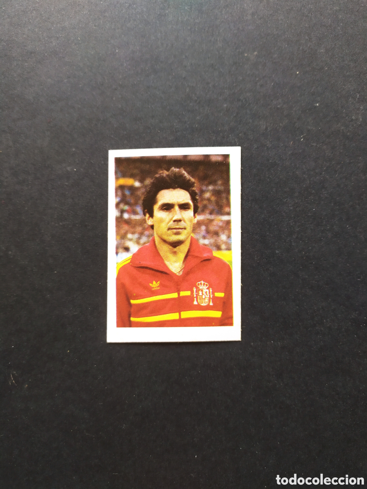 Football Stickers: Euro 84 colecci&oacute;n Fans Santillana n&deg; 80 Espa&ntilde;a nuevo sin pegar