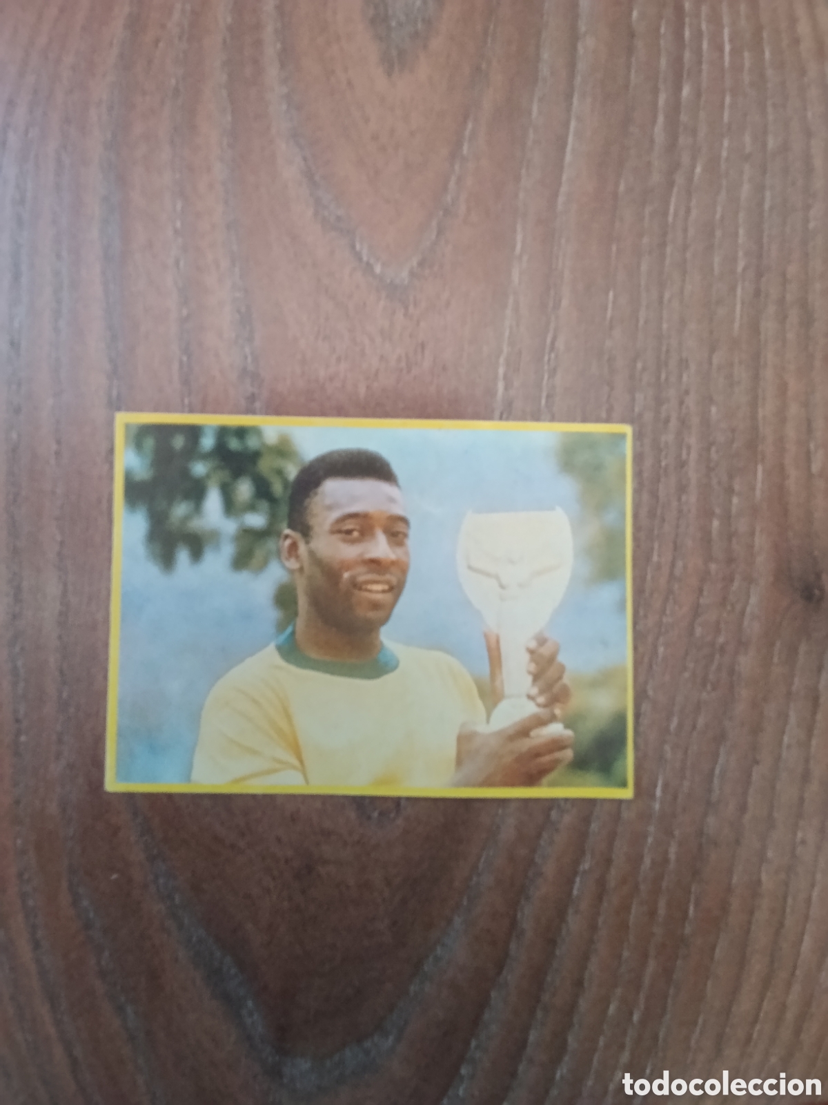 Cromos de Futebol: Cromo n.76, Pel&eacute;. FUTBOL EN ACCION. Danone 82. Como nuevo, nunca pegado