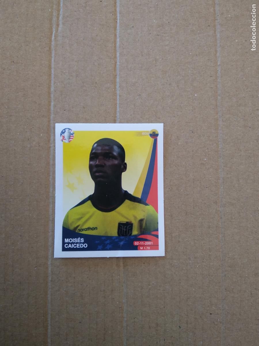 Figurine di Calcio: 83 MOISES CAICEDO ECUADOR CROMO FUTBOL COPA AMERICA 2024 TOP BIND