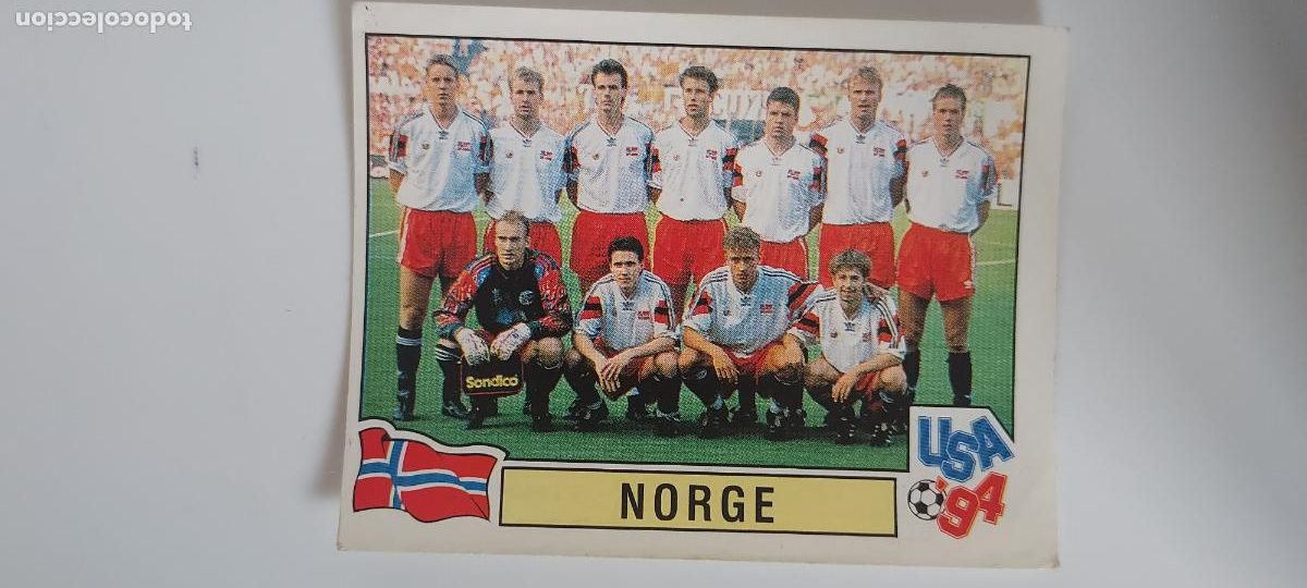Cromos de F&uacute;tbol: PANINI MUNDIAL USA 94 N.&ordm; 353 PLANTILLA NORGE (NORUEGA)