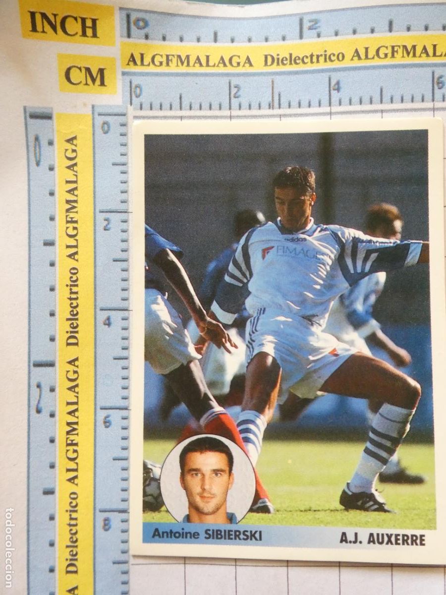 Cromos de f&uacute;tbol: CROMO F&Uacute;TBOL PANINI LOS MEJORES EQUIPOS DE EUROPA 96 97 1996 1997 AUXERRE 36 SIBIERSKI