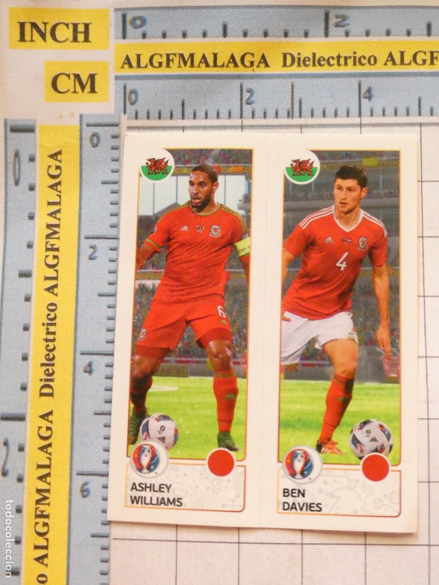 Cartes &agrave; collectionner de Football: CROMO DE F&Uacute;TBOL PANINI. EURO EUROCOPA FRANCIA 2016. GALES 203 A 203 B WILLIAMS DAVIES