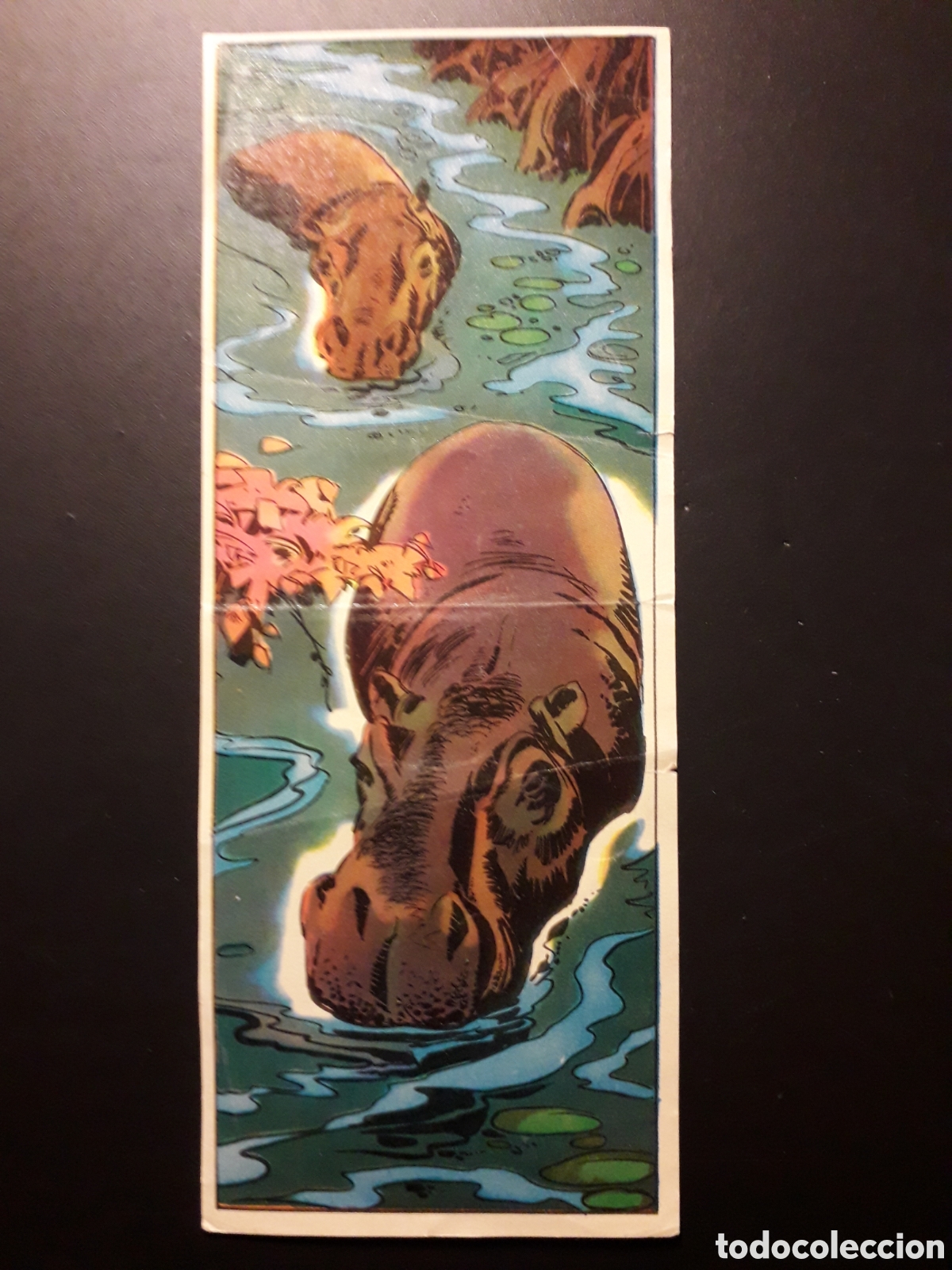 Football Stickers: &Aacute;FRICA Y SUS HABITANTES N&deg; 103 ED MAGA 1965 SIN PEGAR, ALG&Uacute;N DEFECTO FOTOS PEDIDO M&Iacute;NIMO 3&euro;