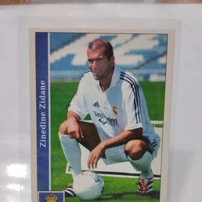 Image Sticker Cromo VINICIUS JUNIOR Real Madrid Brazil PANINI LA LIGA Image Sticker Cromo VINICIUS JUNIOR Real Madrid Brazil PANINI LA LIGA