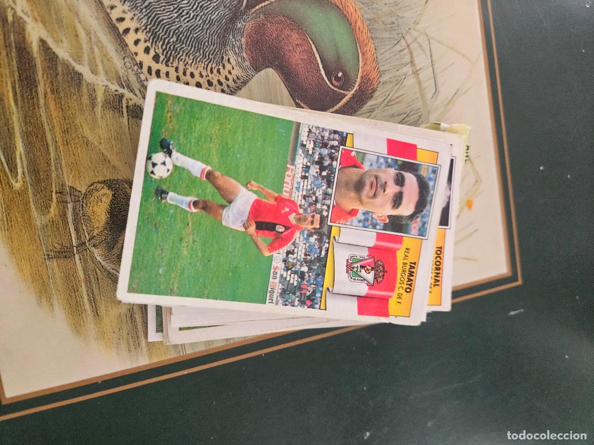 Cromos de Futebol: Tamayo Burgos este 90 91 1990 1991 despegado
