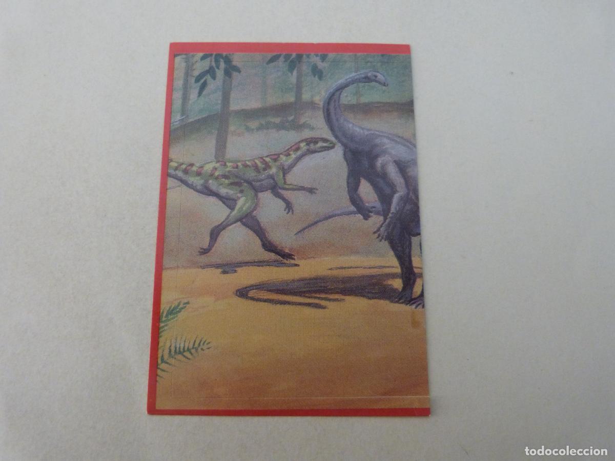 Football Stickers: CROMO EL GRAN ALBUM DE LOS DINOSAURIOS SIN PEGAR N&ordm; 67 A&Ntilde;O 1993 EL GRAN ALBUM... DE MV EDITORES