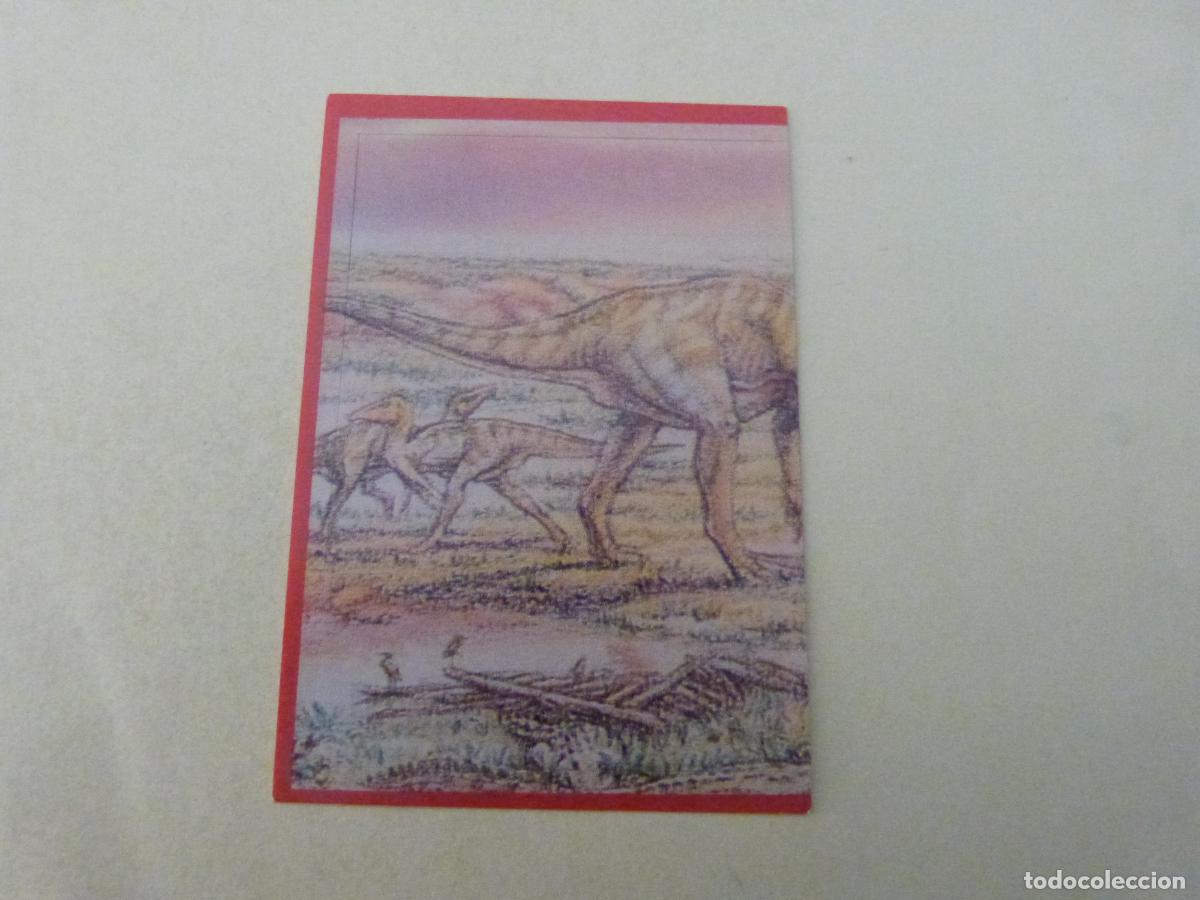 Fu&szlig;ball-Sticker: CROMO EL GRAN ALBUM DE LOS DINOSAURIOS SIN PEGAR N&ordm; 117 A&Ntilde;O 1993 EL GRAN ALBUM... DE MV EDITORES