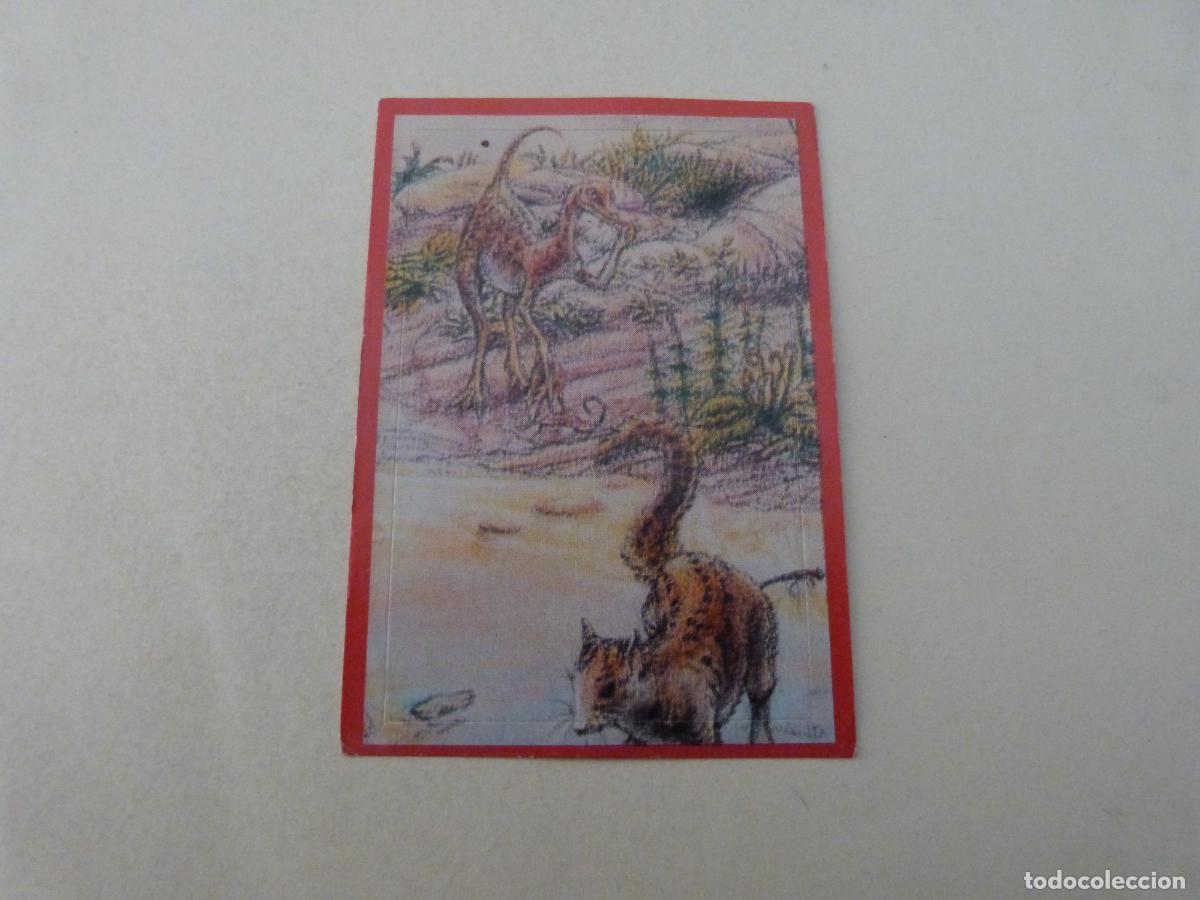 Cartes &agrave; collectionner de Football: CROMO EL GRAN ALBUM DE LOS DINOSAURIOS SIN PEGAR N&ordm; 127 A&Ntilde;O 1993 EL GRAN ALBUM... DE MV EDITORES