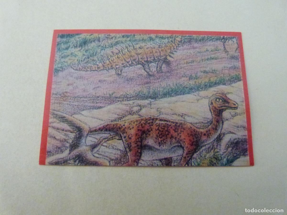 Cartes &agrave; collectionner de Football: CROMO EL GRAN ALBUM DE LOS DINOSAURIOS SIN PEGAR N&ordm; 128 A&Ntilde;O 1993 EL GRAN ALBUM... DE MV EDITORES
