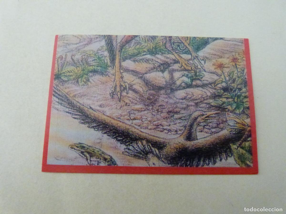 Cartes &agrave; collectionner de Football: CROMO EL GRAN ALBUM DE LOS DINOSAURIOS SIN PEGAR N&ordm; 129 A&Ntilde;O 1993 EL GRAN ALBUM... DE MV EDITORES