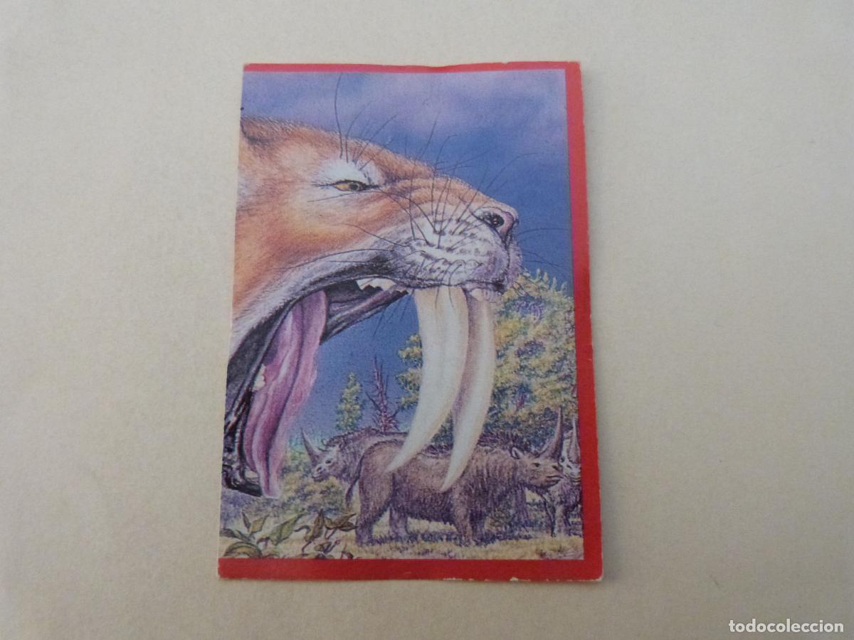 Cartes &agrave; collectionner de Football: CROMO EL GRAN ALBUM DE LOS DINOSAURIOS SIN PEGAR N&ordm; 192 A&Ntilde;O 1993 EL GRAN ALBUM... DE MV EDITORES