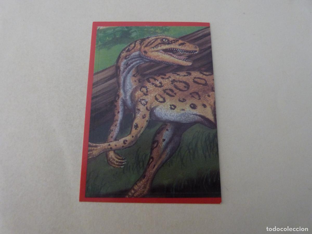 Cartes &agrave; collectionner de Football: CROMO EL GRAN ALBUM DE LOS DINOSAURIOS SIN PEGAR N&ordm; 71 A&Ntilde;O 1993 EL GRAN ALBUM... DE MV EDITORES