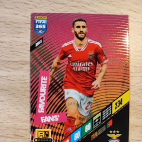 L'Académie Du Benfica Recrée La Célébration D'Anatoliy Trubin, Le L'Académie Du Benfica Recrée La Célébration D'Anatoliy Trubin, Le