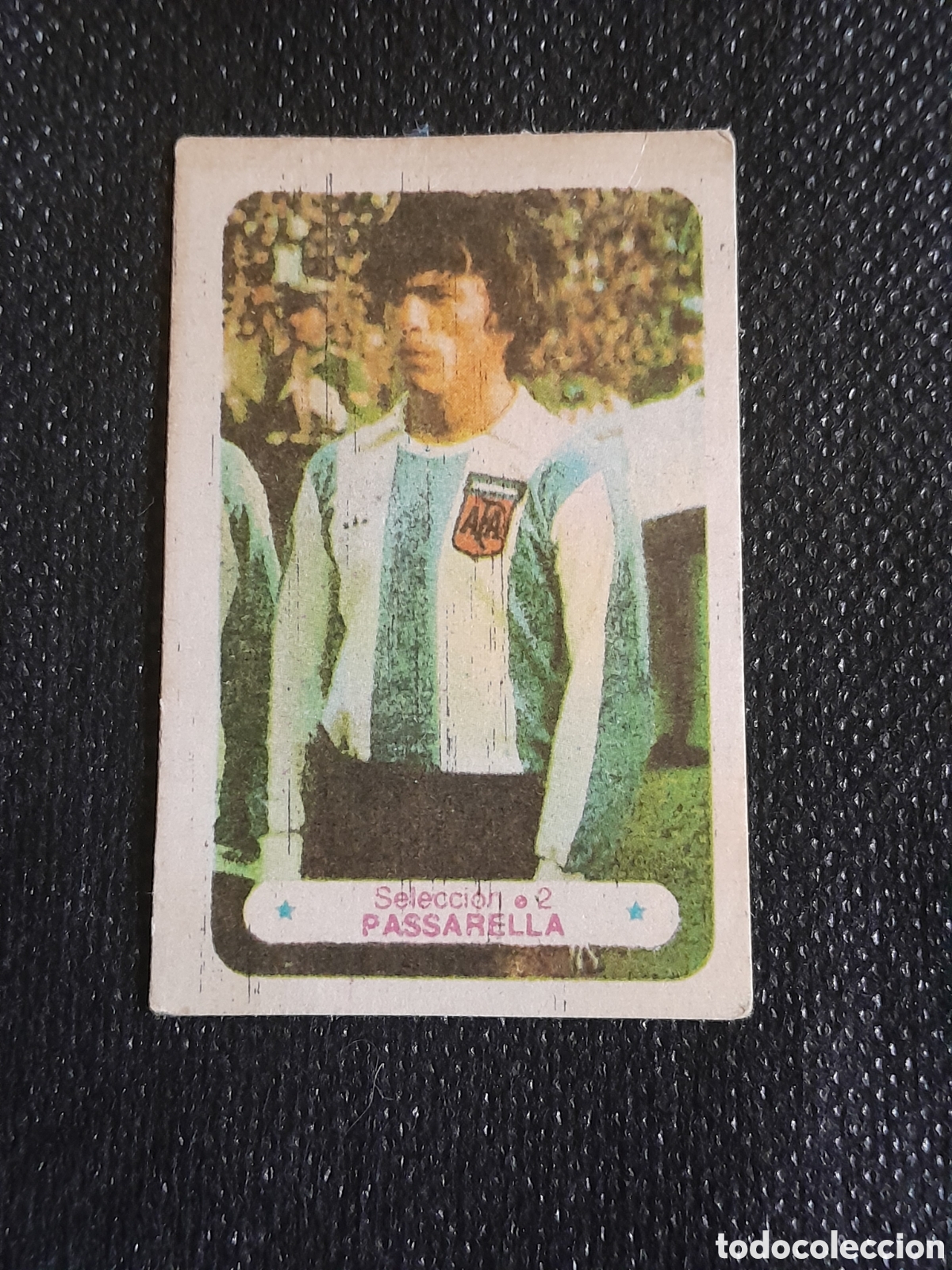 Cromos de Futebol: Tarjeta coleccionable del gran futbolista argentino campe&oacute;n mundial Daniel Alberto Pasarella 1978