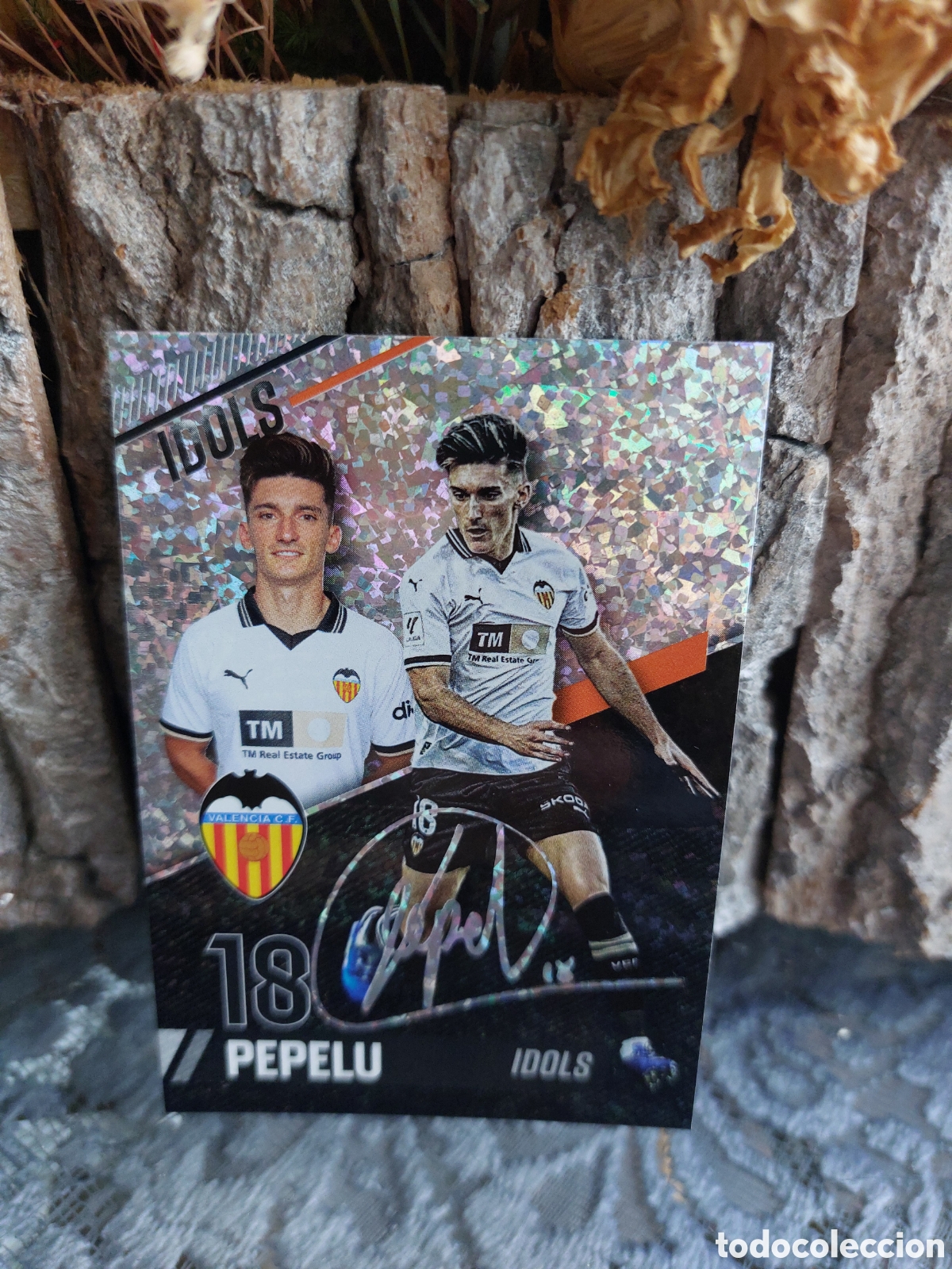 Fu&szlig;ball-Sticker: FRAGMENT 16 PEPELU IDOLS VALENCIA CF MUNDICROMO 23 24 2023 2024 ADNVCF FOOTBALL TREASURE