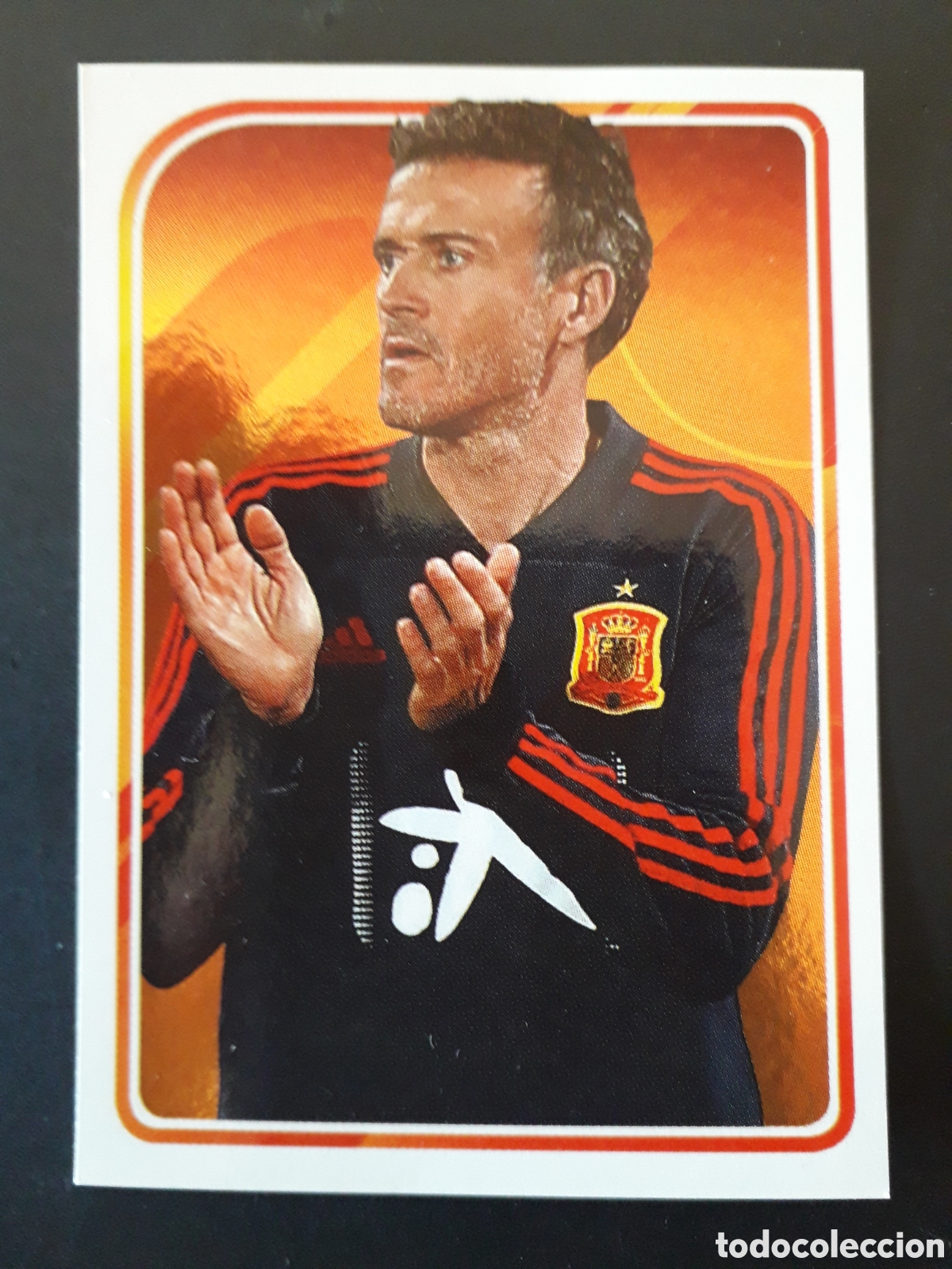Fu&szlig;ball-Sticker: LUIS ENRIQUE, ALBUM DE LA SELECCI&Oacute;N N&deg; 13 EURO 2020 PANINI CARREFOUR PEDIDO M&Iacute;NIMO 3&euro;