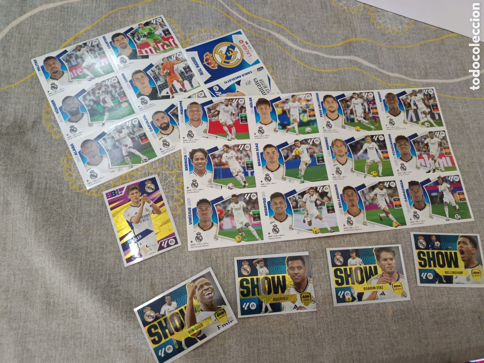 Football Stickers: PANINI LIGA ESPA&Ntilde;OLA 2024 25 ( EDITADO EN BRASIL ) R. MADRID CF 25 CROMOS NUEVOS - EQUIPO COMPLETO