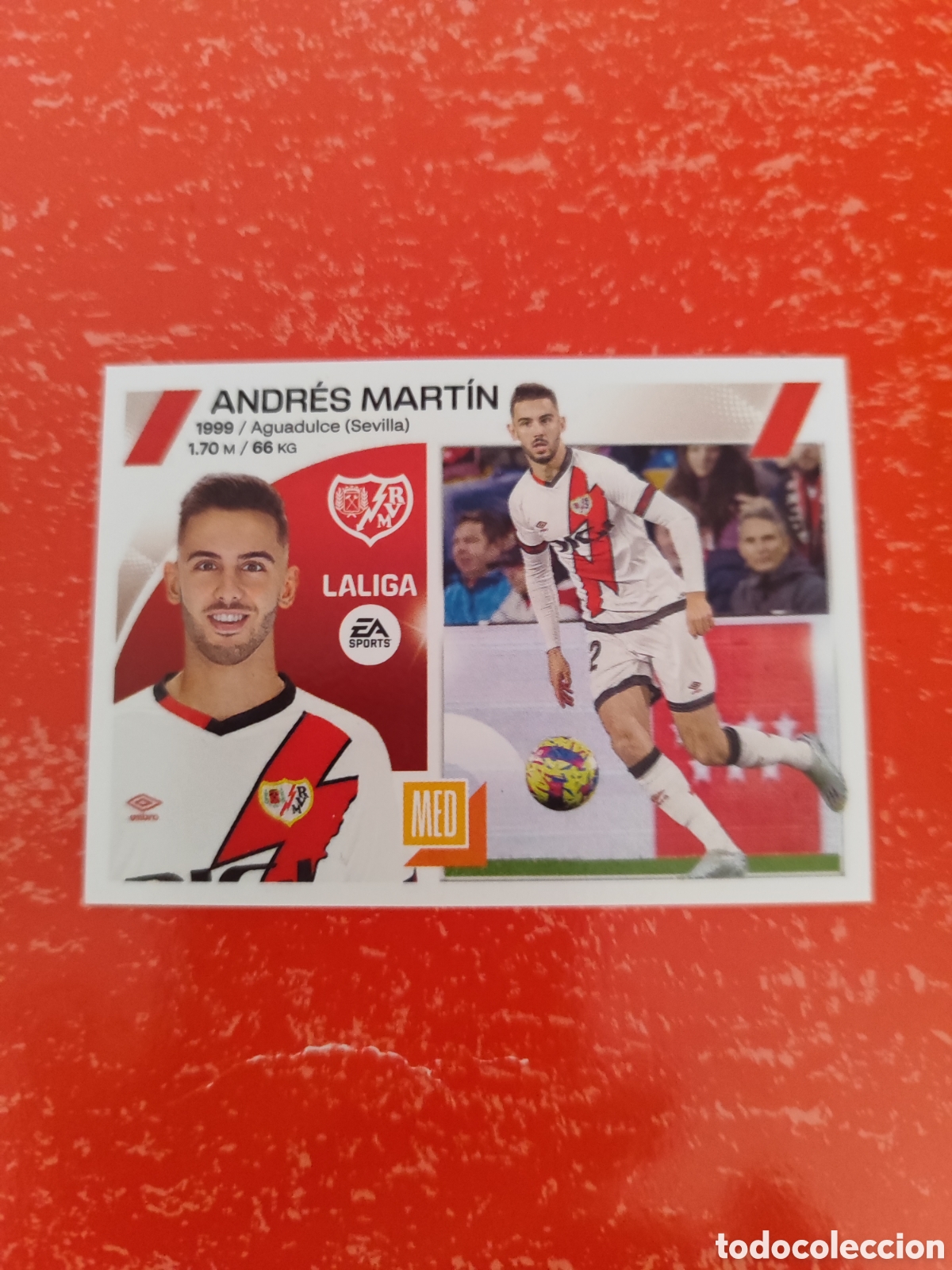 Football Stickers: CROMO ANDR&Eacute;S MART&Iacute;N RAYO VALLECANO N&Uacute;MERO 14. LIGA ESTE 23/24.