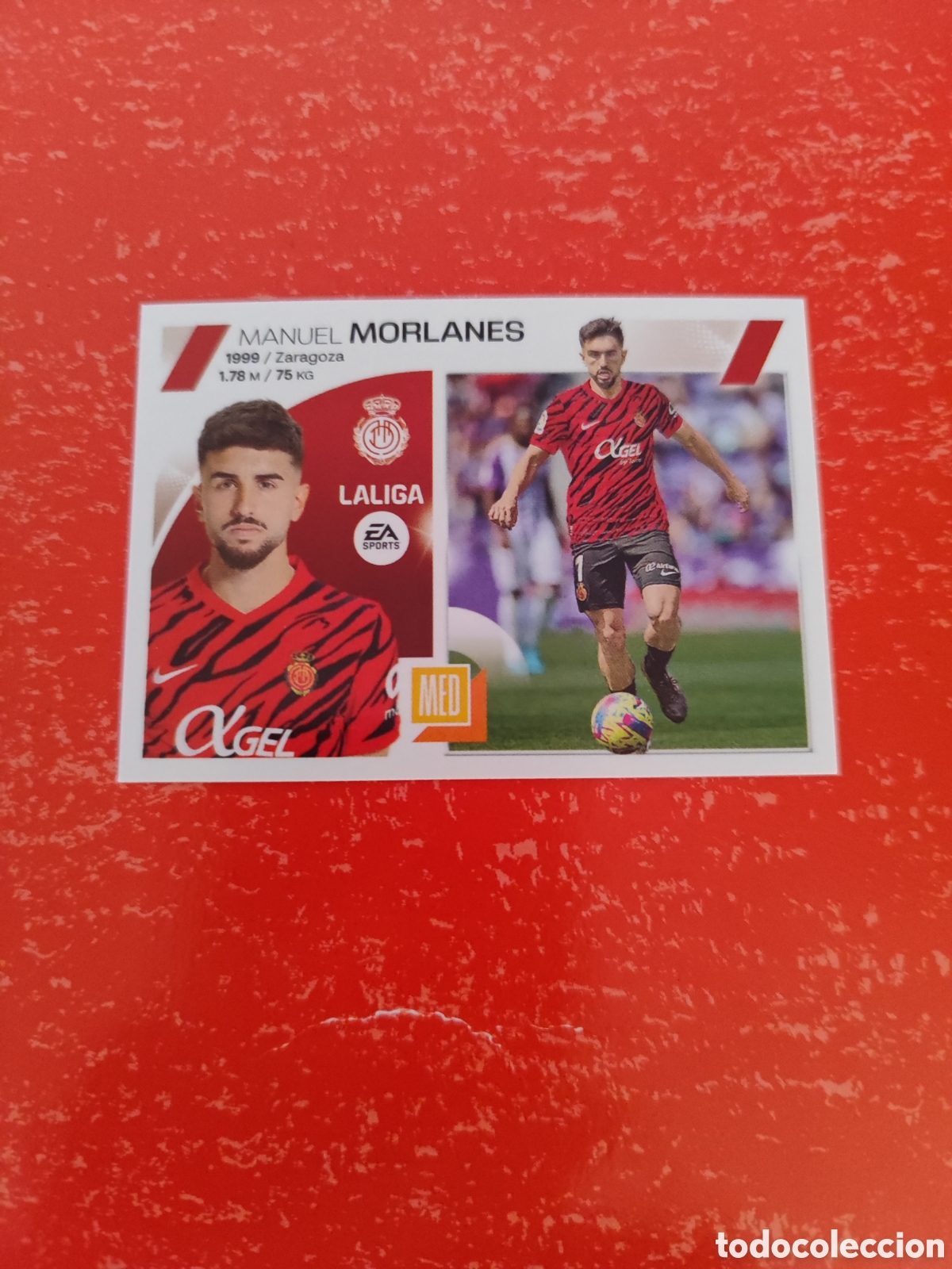 Fu&szlig;ball-Sticker: CROMO MORLANES MALLORCA N&Uacute;MERO 16. LIGA ESTE 23/24.