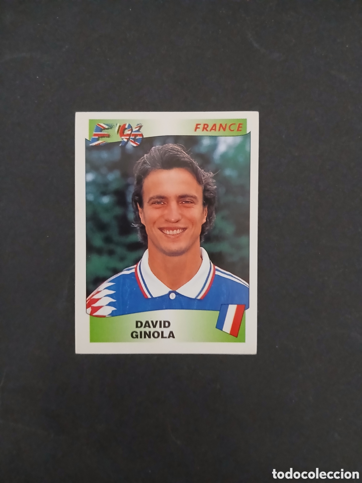 Cromos de f&uacute;tbol: GINOLA 193 FRANCIA EUROCOPA EURO 1996 96 INGLATERRA PANINI NUNCA PEGADO