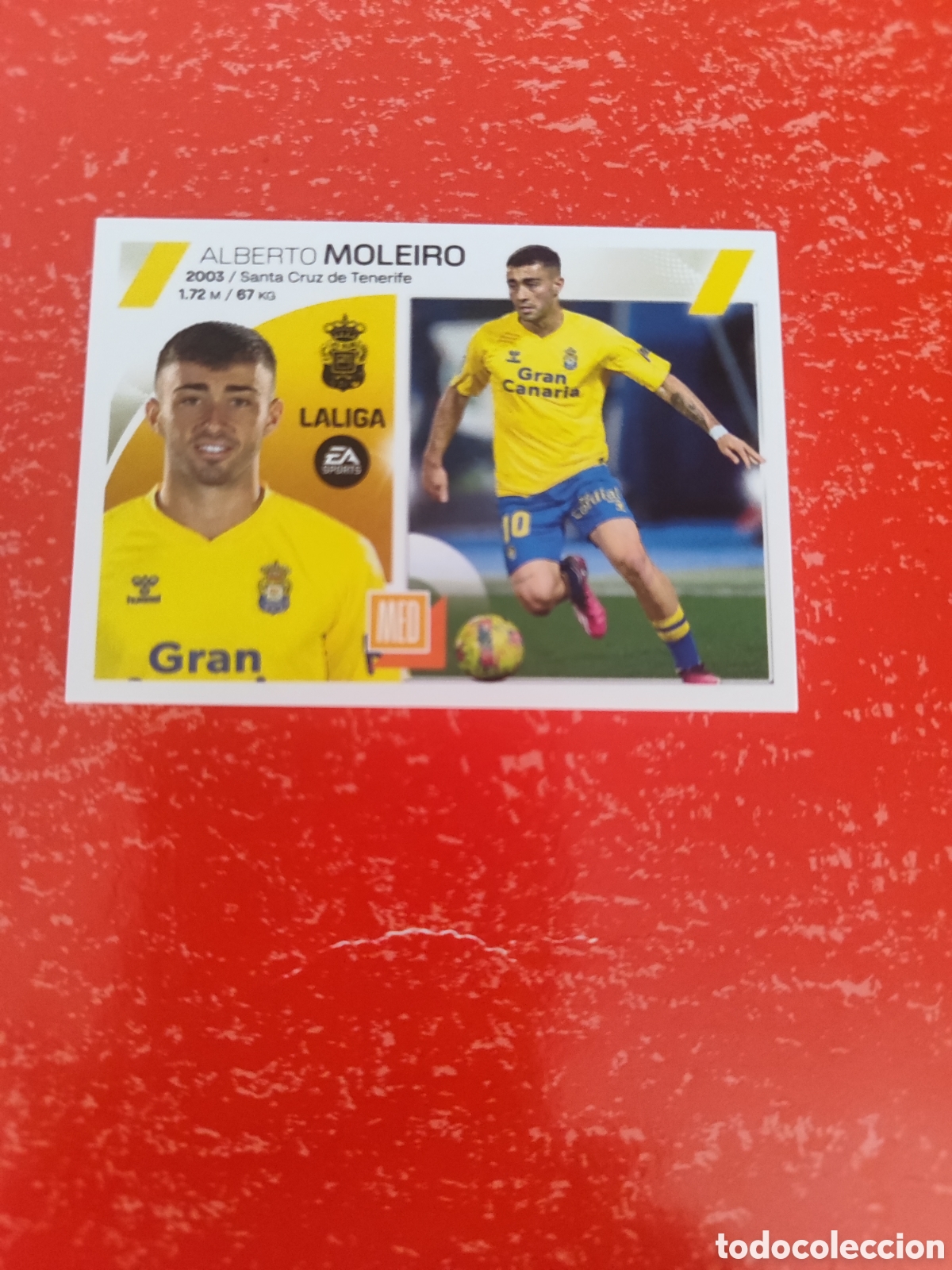 Figurine di Calcio: CROMO MOLEIRO LAS PALMAS N&Uacute;MERO 14. LIGA ESTE 23/24.