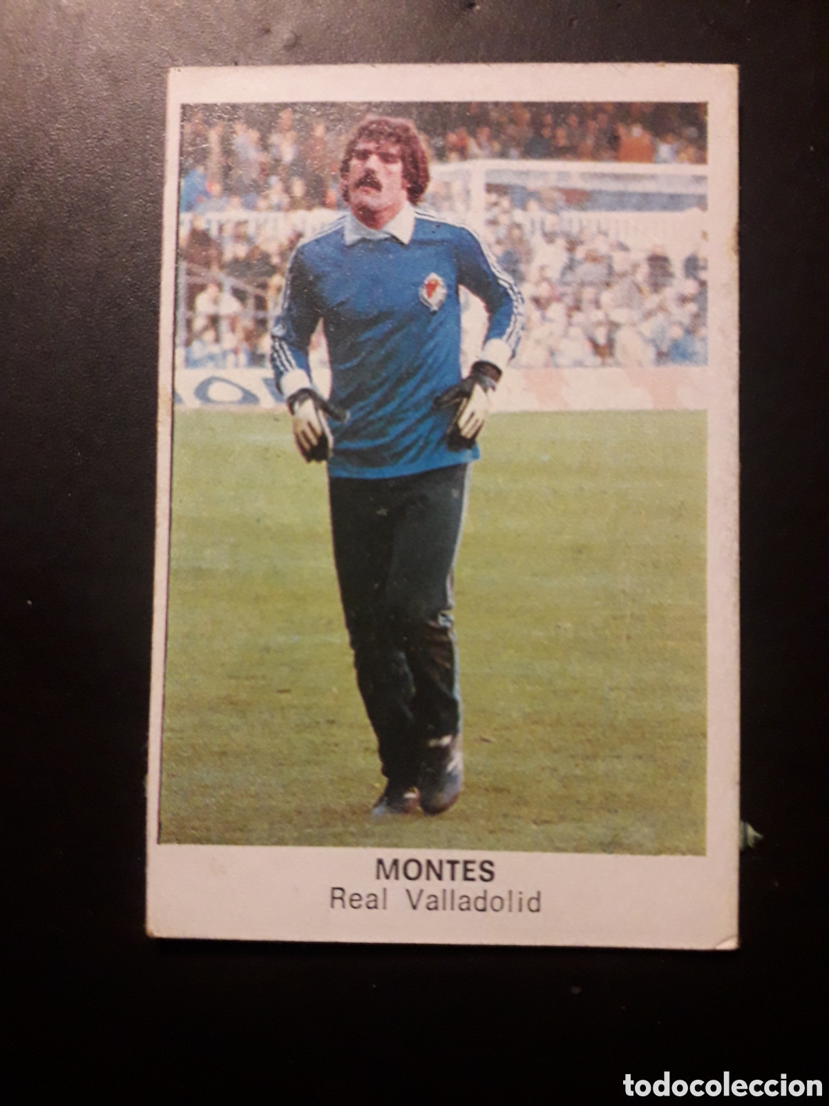 Cromos de F&uacute;tbol: MONTES VALLADOLID ED CANO 1983 1984 83 84 DESPEGADO TRASERA CROP&Aacute;N PEDIDO M&Iacute;NIMO 3&euro;