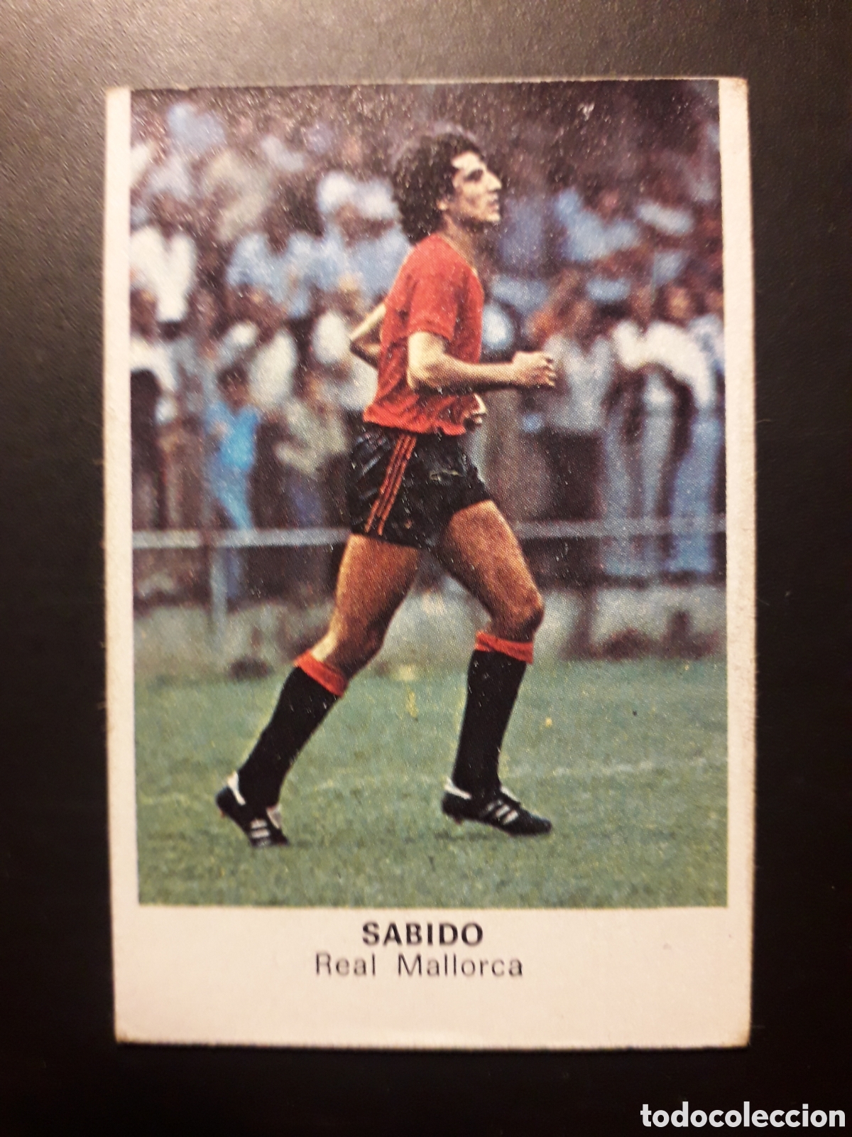 Cromos de F&uacute;tbol: SABIDO MALLORCA ED CANO 1983 1984 83 84 DESPEGADO TRASERA CROP&Aacute;N PEDIDO M&Iacute;NIMO 3&euro;