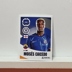 HWC Trading A4 Moises Caicedo Chelsea Regali Stampati Autografo Firmato Foto Per Gli Appassionati Di Calcio E Sostenitori - A4 HWC Trading A4 Moises Caicedo Chelsea Regali Stampati Autografo Firmato Foto Per Gli Appassionati Di Calcio E Sostenitori - A4