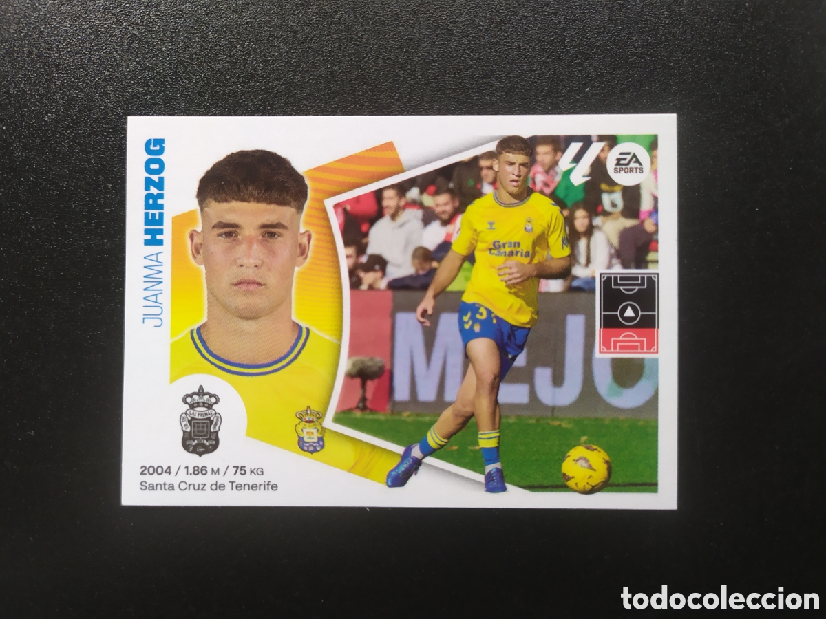 Football Stickers: Liga este 2024 2025 24 25 panini Herzog n&deg; 9 Las Palmas