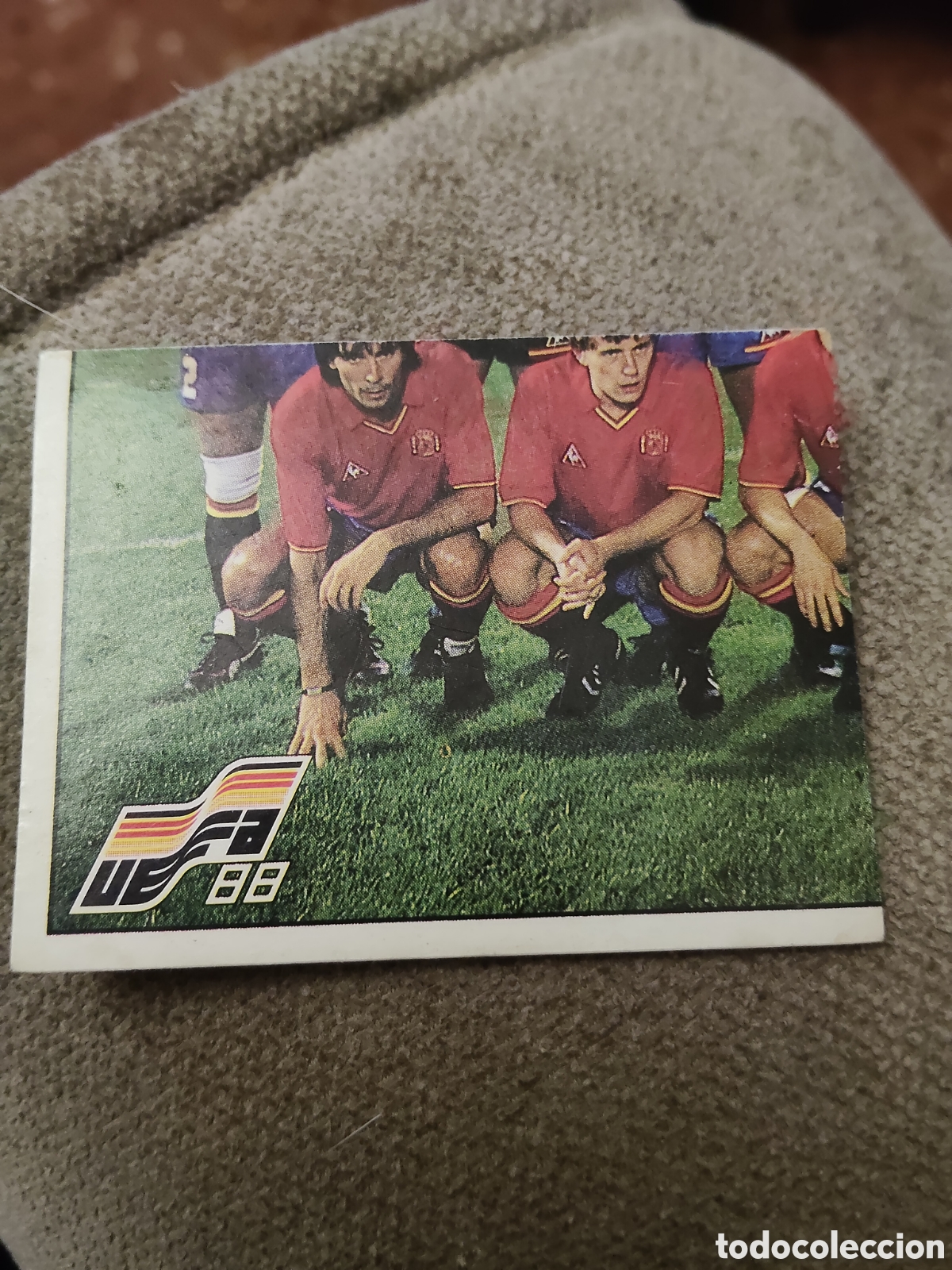 Football Stickers: Panini Euro 88 128 Alineaci&oacute;n Espa&ntilde;a