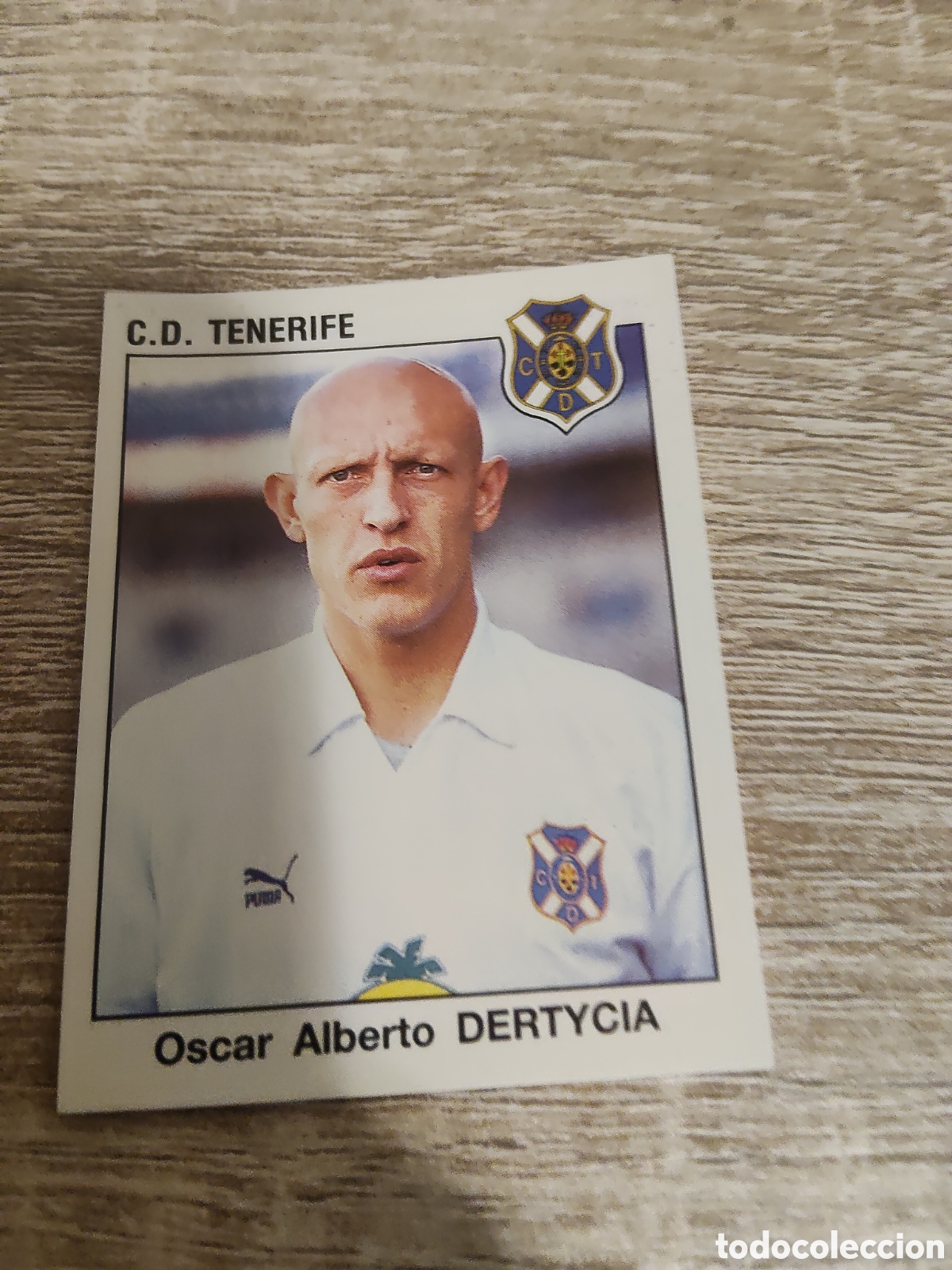 Cromos de F&uacute;tbol: Panini futbol 93 94 307 Dertycia Tenerife