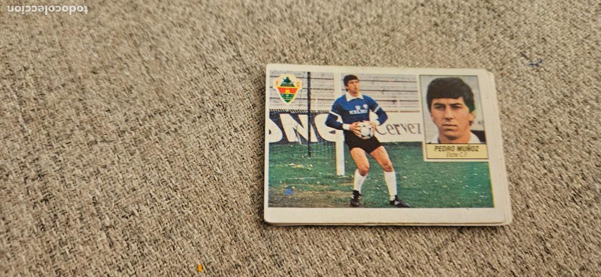 Cromos de f&uacute;tbol: elche pedro mu&ntilde;oz coloca este 1984 1985 84 85 sin pegar