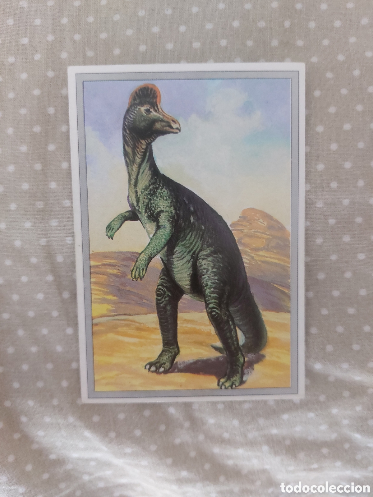 Cromos de F&uacute;tbol: 21 - CROMO CARTAS TRADING CARDS DINOSAURIOS DE 101 CORYTHOSAURUS