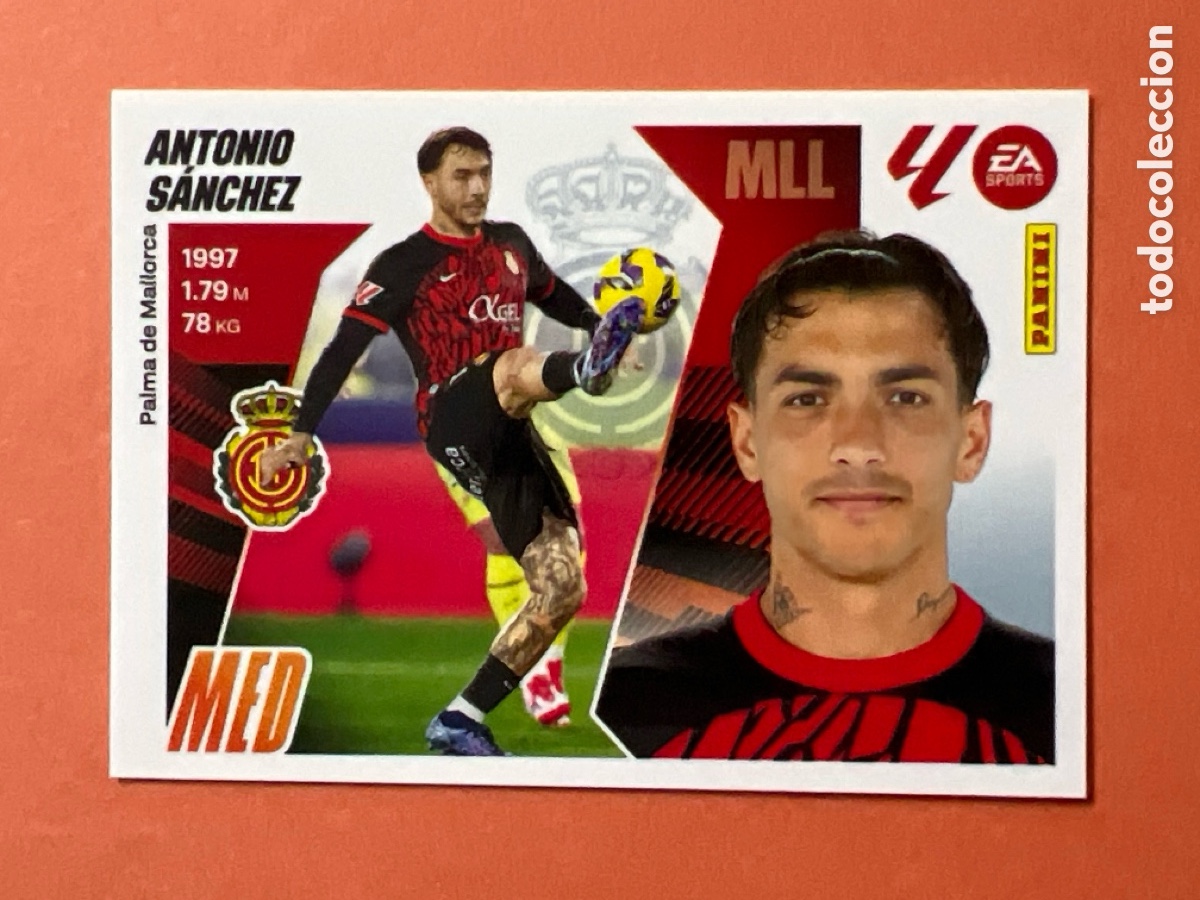 Figurine di Calcio: C2267. Panini La Liga ESTE 2025 2026 25 26 MALLORCA 14 ANTONIO SANCHEZ