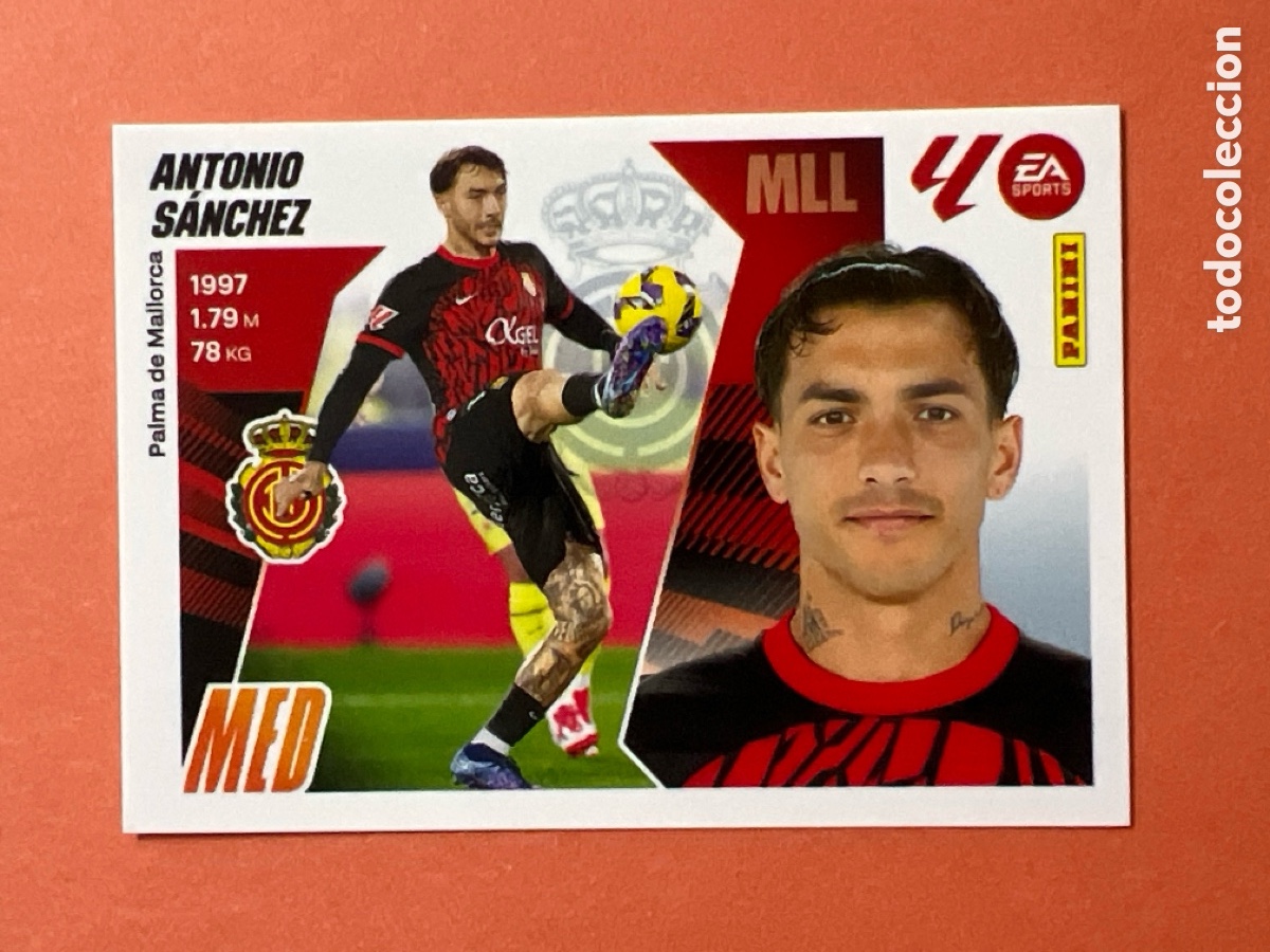 Cromos de F&uacute;tbol: C2297. Panini La Liga ESTE 2025 2026 25 26 MALLORCA 14 ANTONIO SANCHEZ