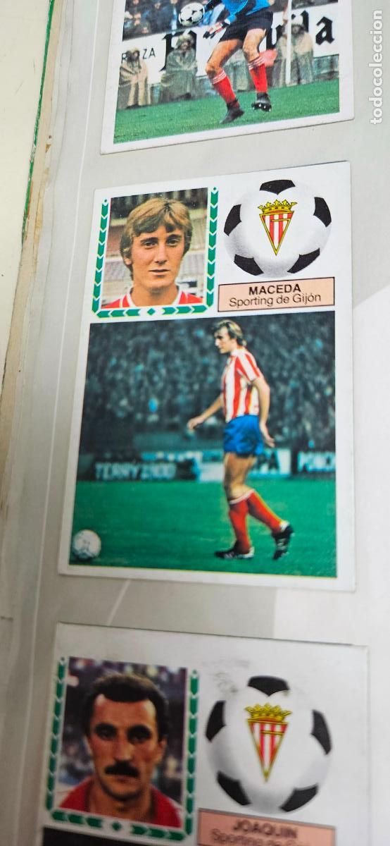Cromos de F&uacute;tbol: sporting de gijon maceda este 1983 1984 83 84 despegado