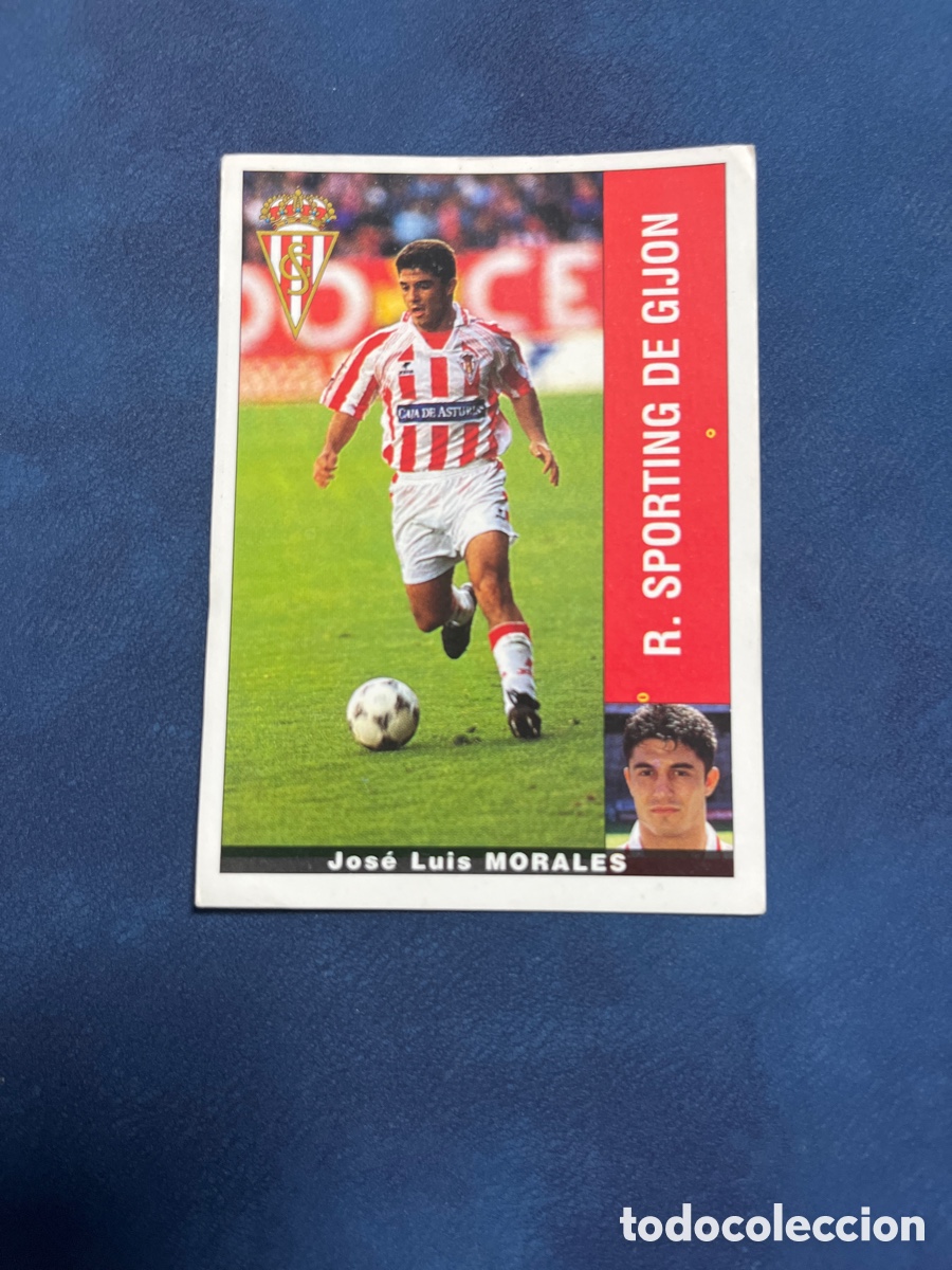 Cromos de F&uacute;tbol: MORALES SPORTING DE GIJON PANINI 1995 1996 LIGA 95 96 SIN PEGAR PEGATINA FUTBOL CROMO