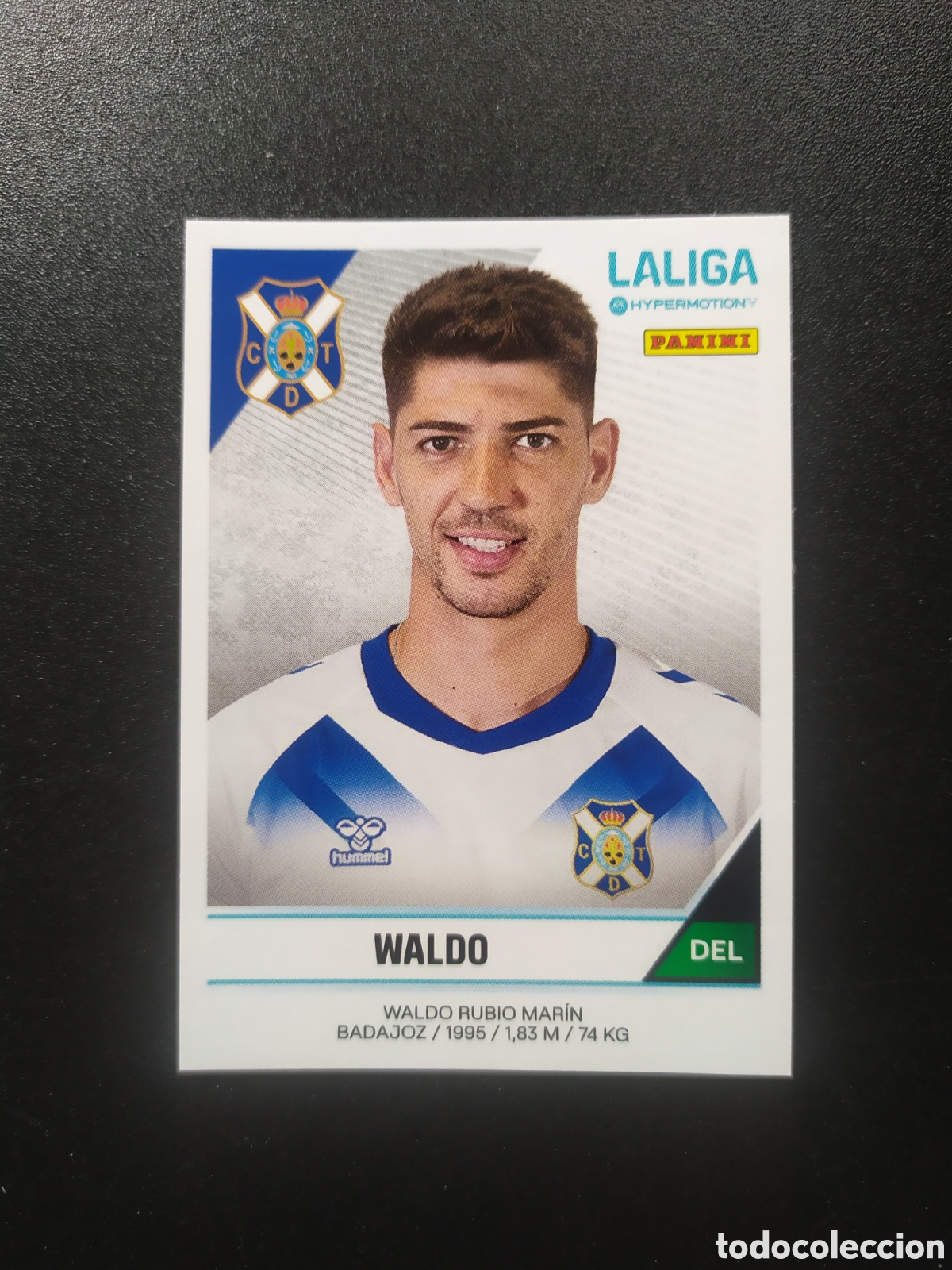 Figurine di Calcio: Liga Hypermotion 2024 2025 24 25 panini Waldo n&deg; 397 Tenerife