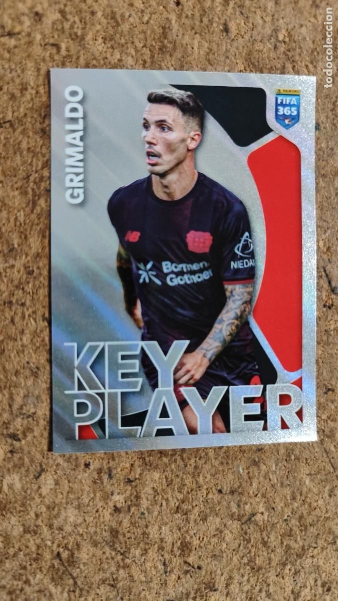 Football Stickers: FIFA 365 2026 UCL STICKER KEY PLAYER GRIMALDO LEVERKUSEN # 183 PANINI