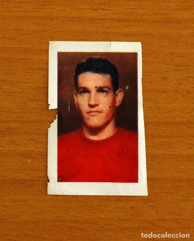 Cromos de F&uacute;tbol: Selecci&oacute;n Espa&ntilde;ola - N&ordm; 8 Segarra - Ruiz Romero 1959-1960, 59-60 - Nunca Pegado