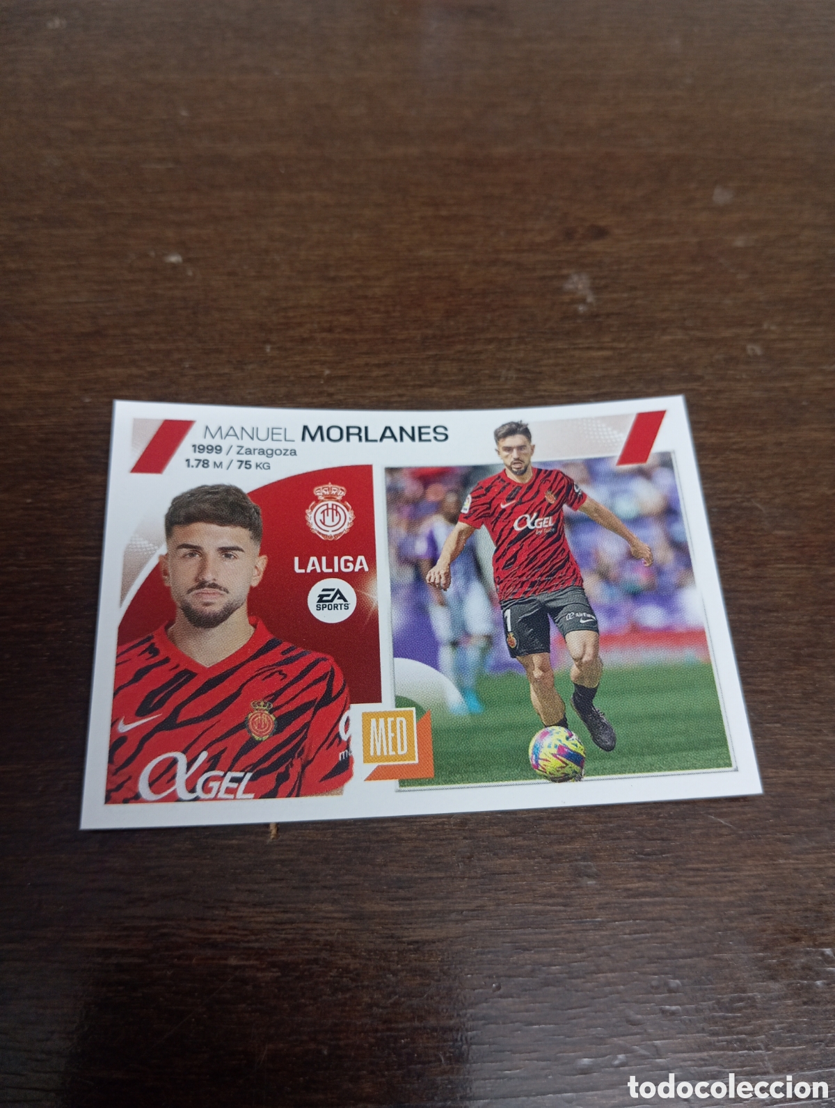 Cromos de Futebol: Morlanes 16 MALLORCA LIGA ESTE 23-24