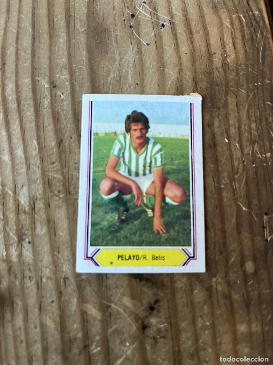 Cromos de F&uacute;tbol: CROMO ALBUM LIGA ESTE 80 81 1980 1981 REAL BETIS PELAYO